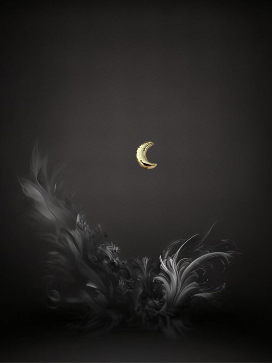 PUCE "2 THE MOON" - Argent plaqué or LESE-MAJESTE
